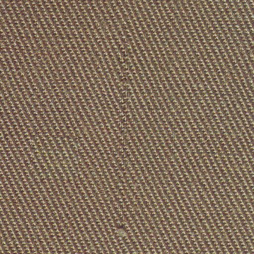 00985_0045_Warp-Burl.jpg