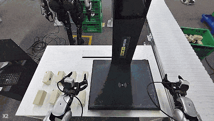 Head camera view