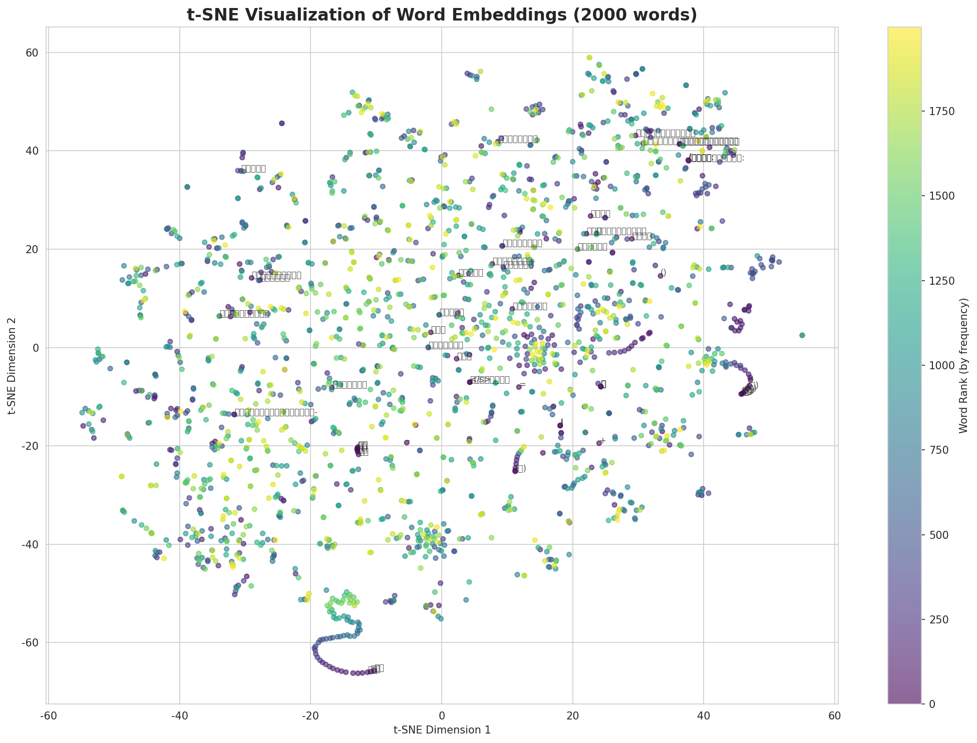 t-SNE Words